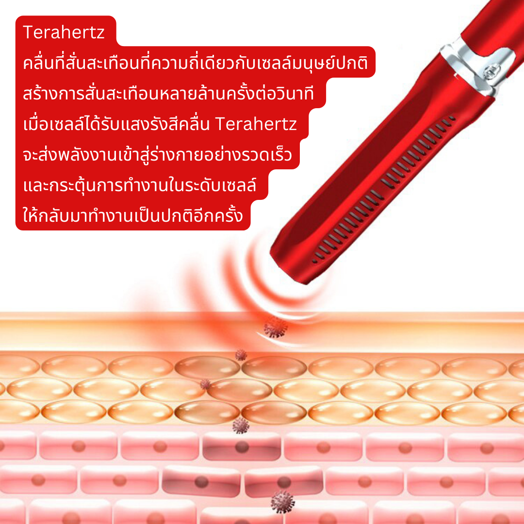 iTeraCare – รุ่น Classic